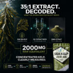 Sea Kelp 2000mg – 180 Tablets
