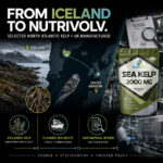 Sea Kelp 2000mg – 180 Tablets
