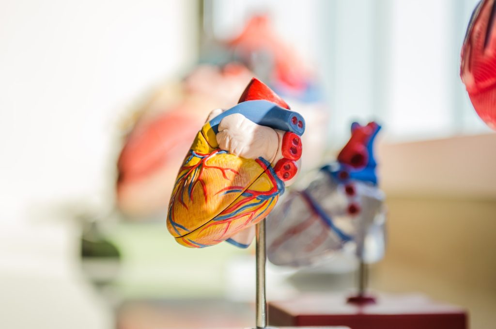 nutrivolv heart