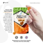Joint Flex Gummies (60 Gummies)